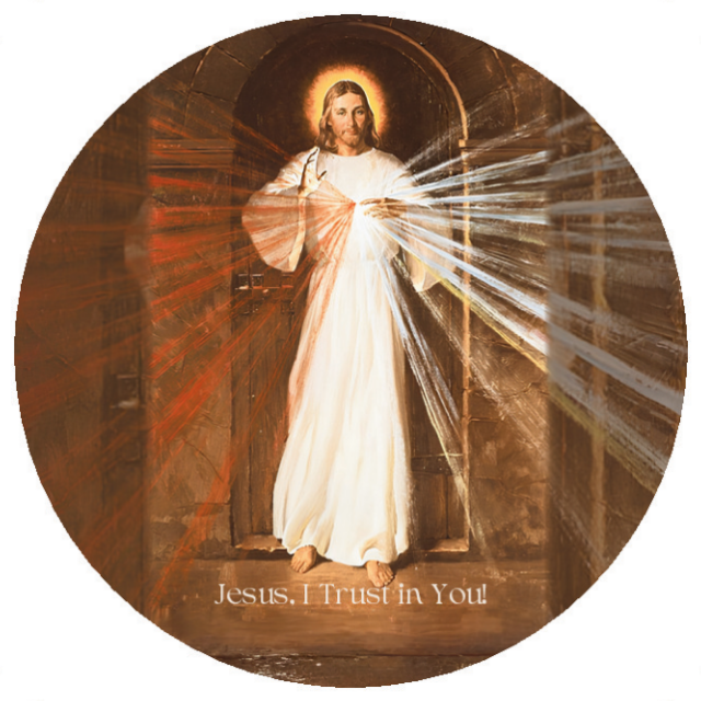 Divine Mercy HALO-CARD™
